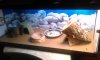 WP_20140219_003.jpg