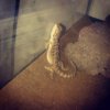 InstagramCapture_c7711d25-a239-4294-a9fe-66f3b990e09e_jpg.jpg