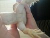 20140413_144859.jpg