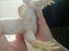 20140413_144904.jpg
