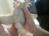 20140413_144923.jpg