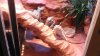 WP_20130920_003.jpg