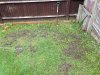 ImageUploadedByTapatalk1405490585.135685.jpg