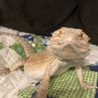 michelleG