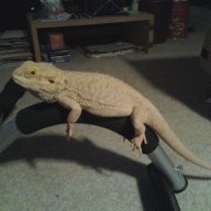 Doug