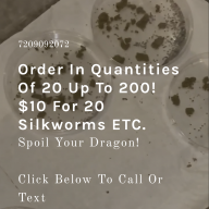 Hello silkworms