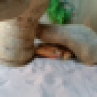 Andrew69