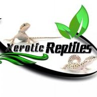Xeroric Reptiles