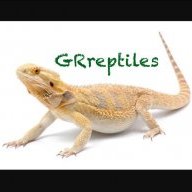 GRreptiles