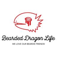 beardeddragonlife