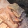 MyDragonPuff