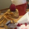 Sherlockthebeardeddragon