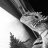 I_LOVE_MY_BEARDIE_ELEVEN