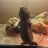Stacey98