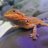 Saphira'sMommy19