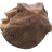 thunderlips