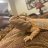 beardie79