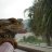 ErikaHeartsBeardies