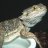 samvs_167