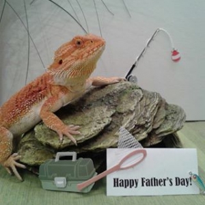 For all the dads out there!