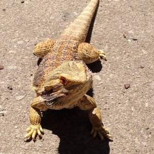 Soaking up some rays!