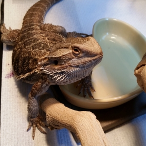 Luci doing a spa treatment