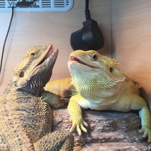 Lizzy & Dave basking