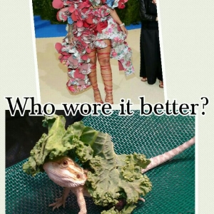 Who wore it better?