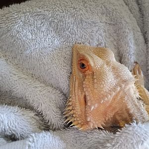 Post bath snuggle