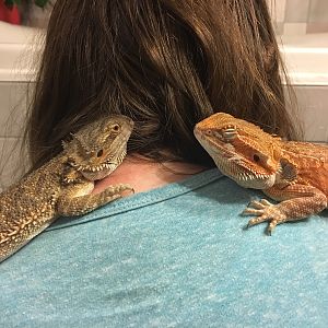 My daughter, the Dragon Whisperer, LOL.