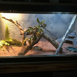 Rocky’s enclosure