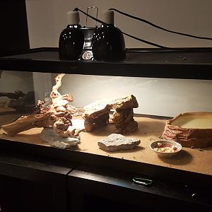 Tank Set Up